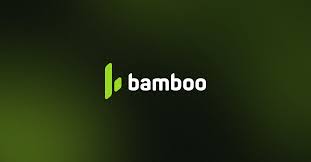 Bamboo
